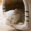 Cuccia per gatti