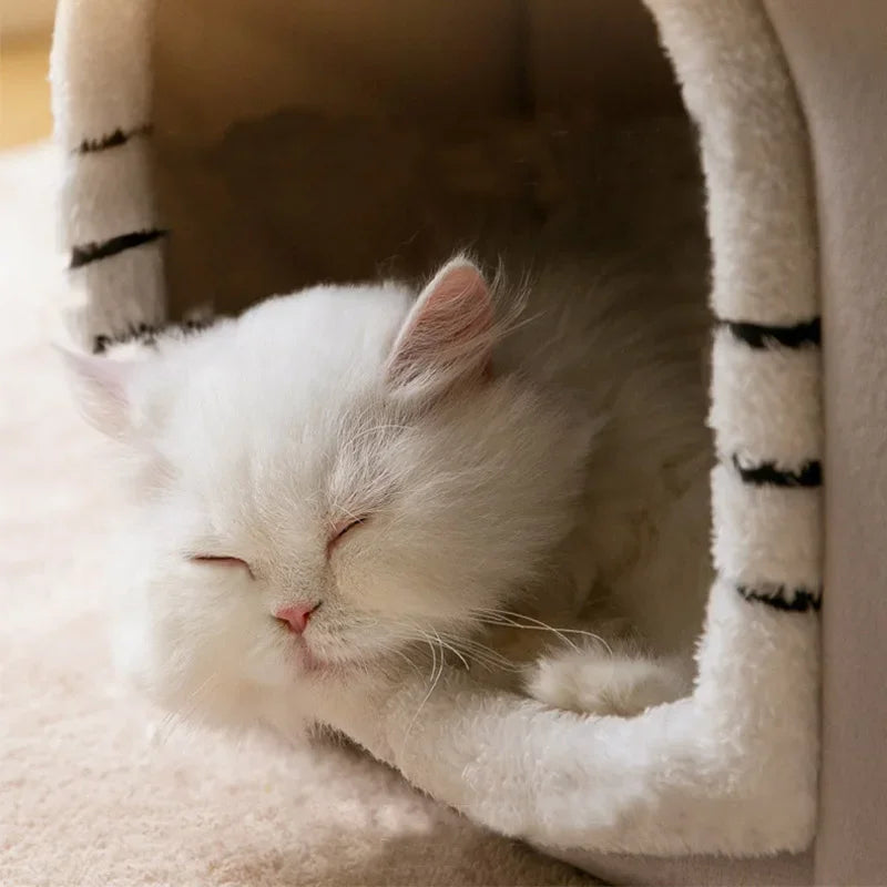 Cuccia per gatti