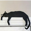 Nachtlicht der schwarzen Katze