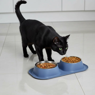 Double Cat Bowl Set on a Spill Tray, Two Tilted Bowls, 15.75 x 9 Inches