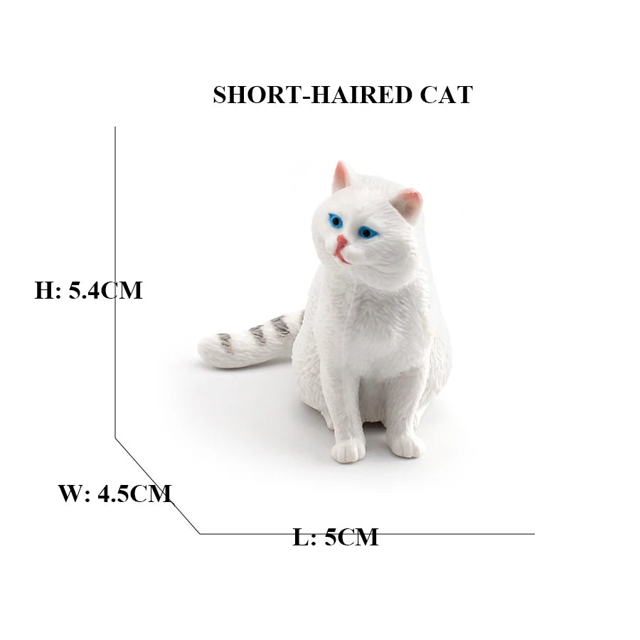 Realistic Ragdoll Cat Figurine and Chubby Cat Model, PVC