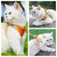 Step-In Cat Harness and Leash Set, Breathable Mesh Vest With Reflective Edges