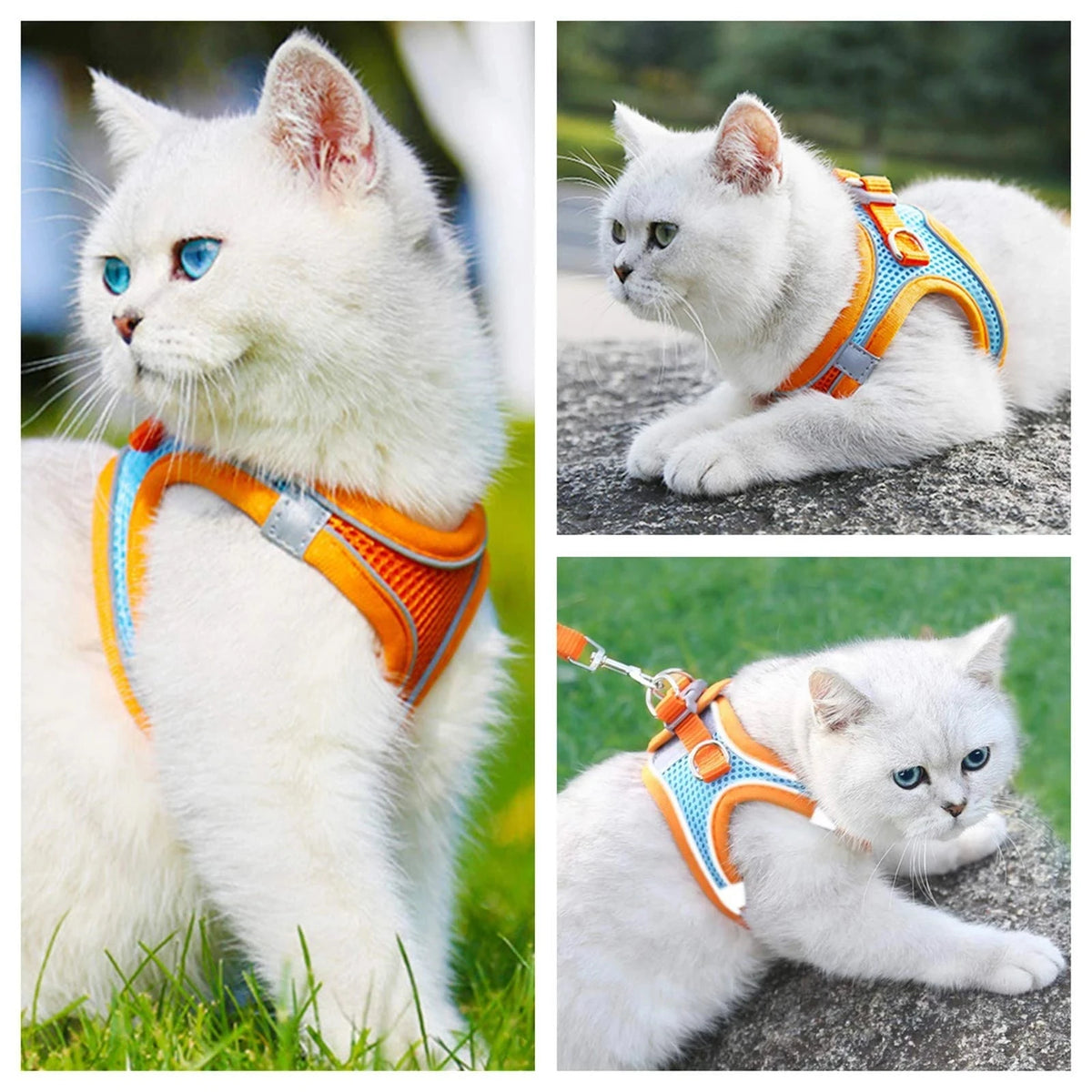 Step-In Cat Harness and Leash Set, Breathable Mesh Vest With Reflective Edges
