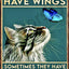 Funny Black Cat Aluminum Sign, 8 x 12 or 12 x 16 Inch Plaque
