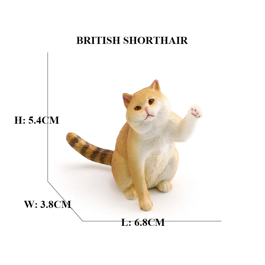 Realistic Ragdoll Cat Figurine and Chubby Cat Model, PVC