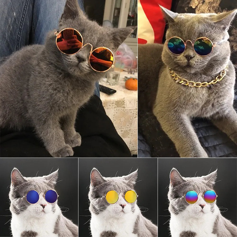 Cat Sunglasses Vintage Round Glasses for Pet Photos and Costumes