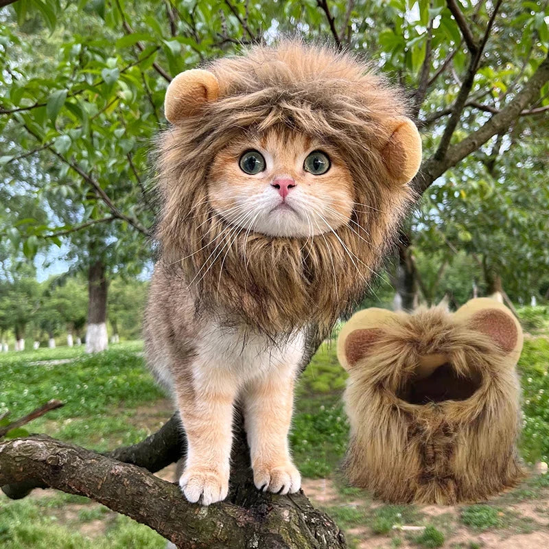 King of the House Cat Lion Mane, Funny Gift for Cat Dads
