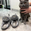 Hug Cat Slippers for Women, Cute Plush Winter House Shoes