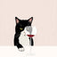 Art abstrait de chat Poster