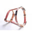 Gradient Cat Harness and Leash Set, Lightweight Strap Harness in 4 Colors