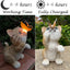 Solar Garden Cat Statue with Butterfly Light, Orange Tabby Kitten