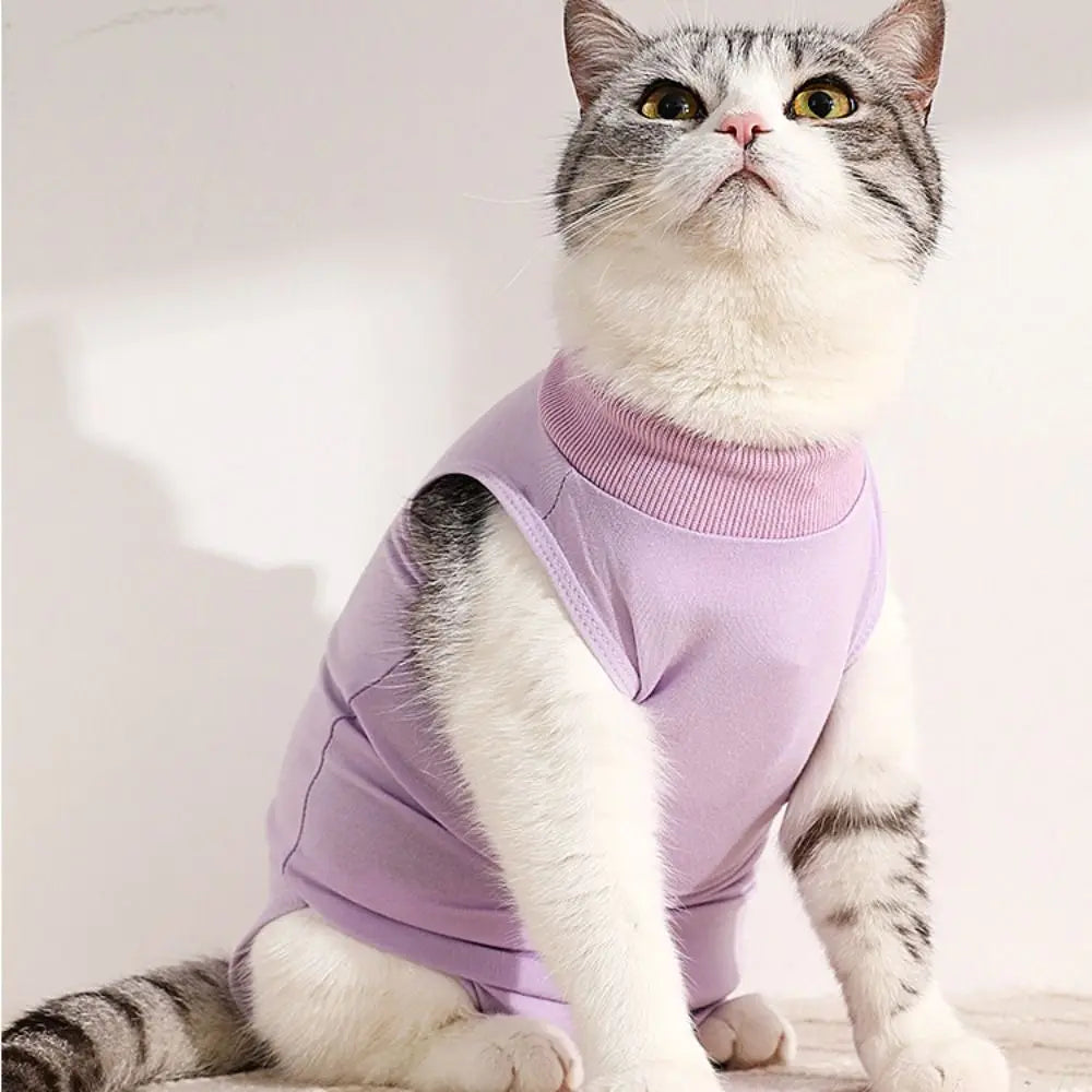 Cat Recovery Suit After Spay or Neuter Surgery, Soft Cone Alternative, S to L