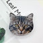 Meme Cat Airpod Hülle
