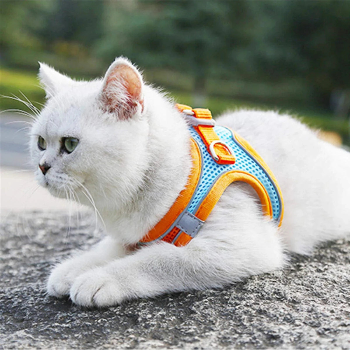 Step-In Cat Harness and Leash Set, Breathable Mesh Vest With Reflective Edges