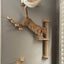 Wall-Mounted Cat Climbing Shelf Set with Bridge and Hammock