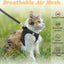 New Kitten Harness Starter Set, Soft Mesh Vest With 5 Ft Leash