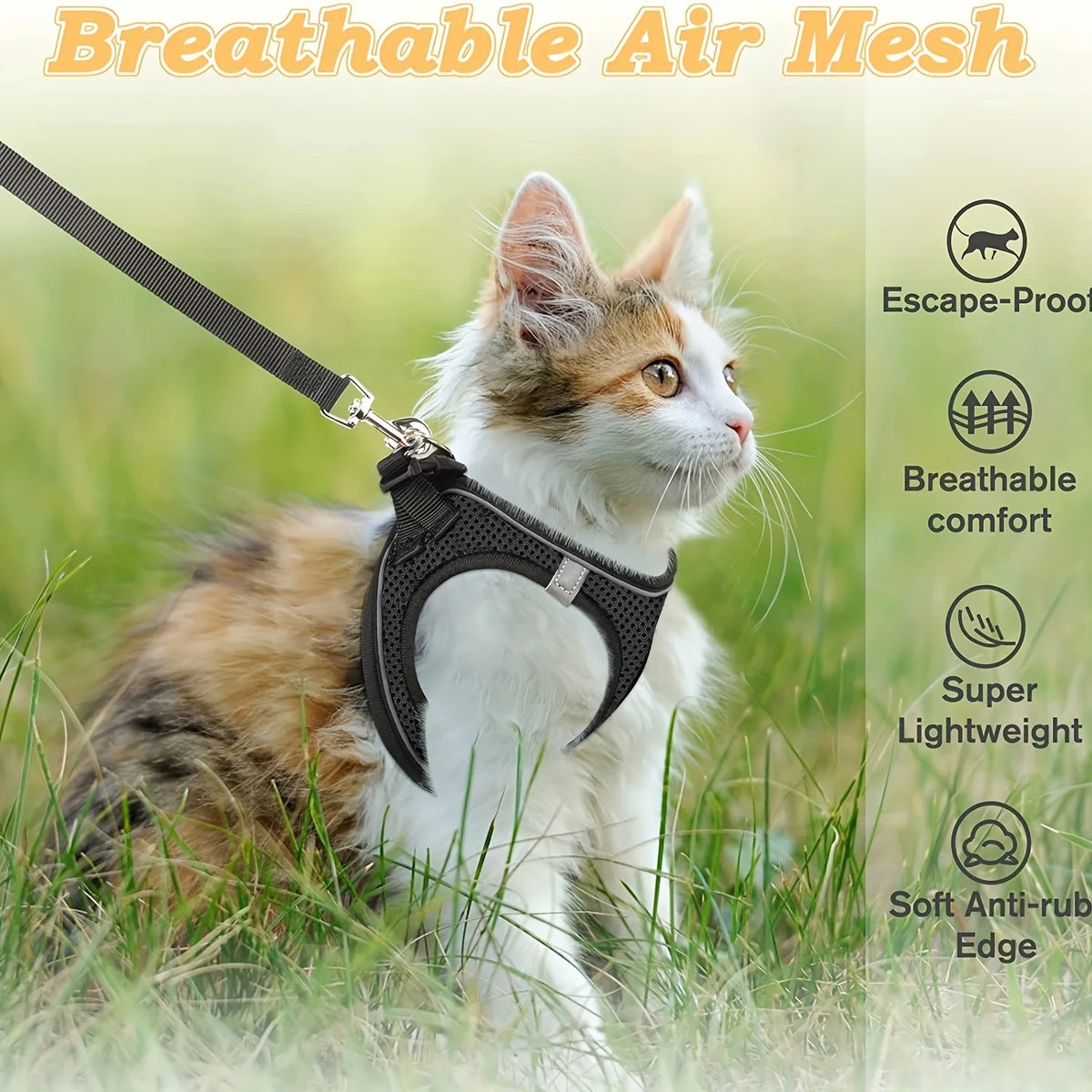 New Kitten Harness Starter Set, Soft Mesh Vest With 5 Ft Leash