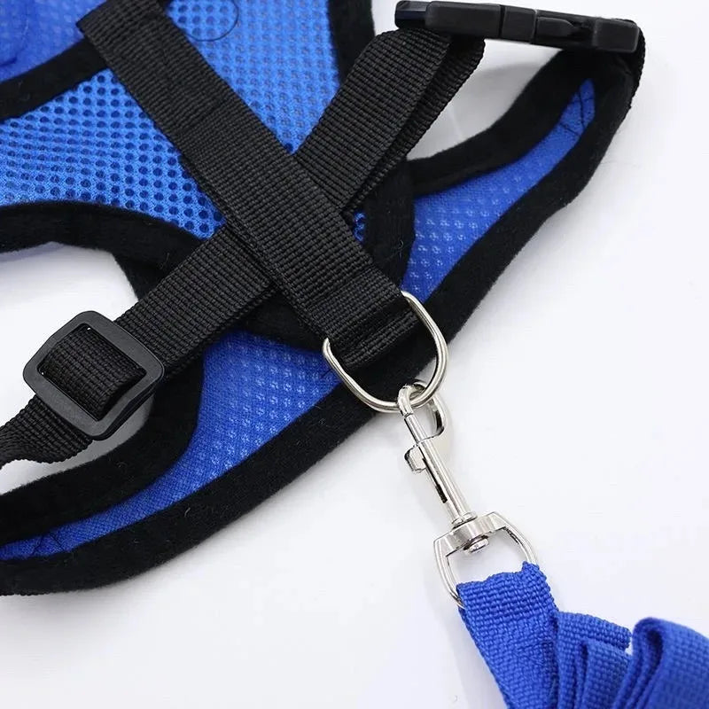 Red Mesh Cat Harness and Leash Set, Bright High-Visibility Vest With Reflective Trim