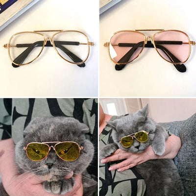 Colored Cat Sunglasses with Resin Lenses for Photos and Costumes