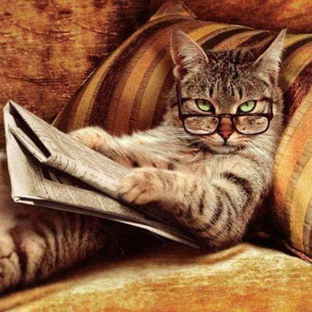 Katzen Wandkunst
