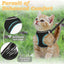 New Kitten Harness Starter Set, Soft Mesh Vest With 5 Ft Leash