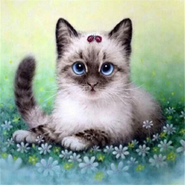 Katzen Wandkunst