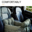 Cat Car Bed with Safety Belt and Washable Cushioned Bed