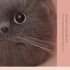 Realistic Fluffy Cat Handbag with Long Plush Tail