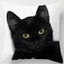 Oreiller chat noir