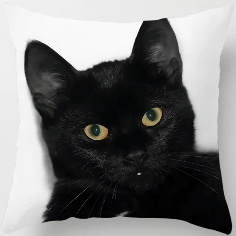 Oreiller chat noir