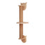 Wall-Mounted Cat Climbing Shelf Set with Bridge and Hammock