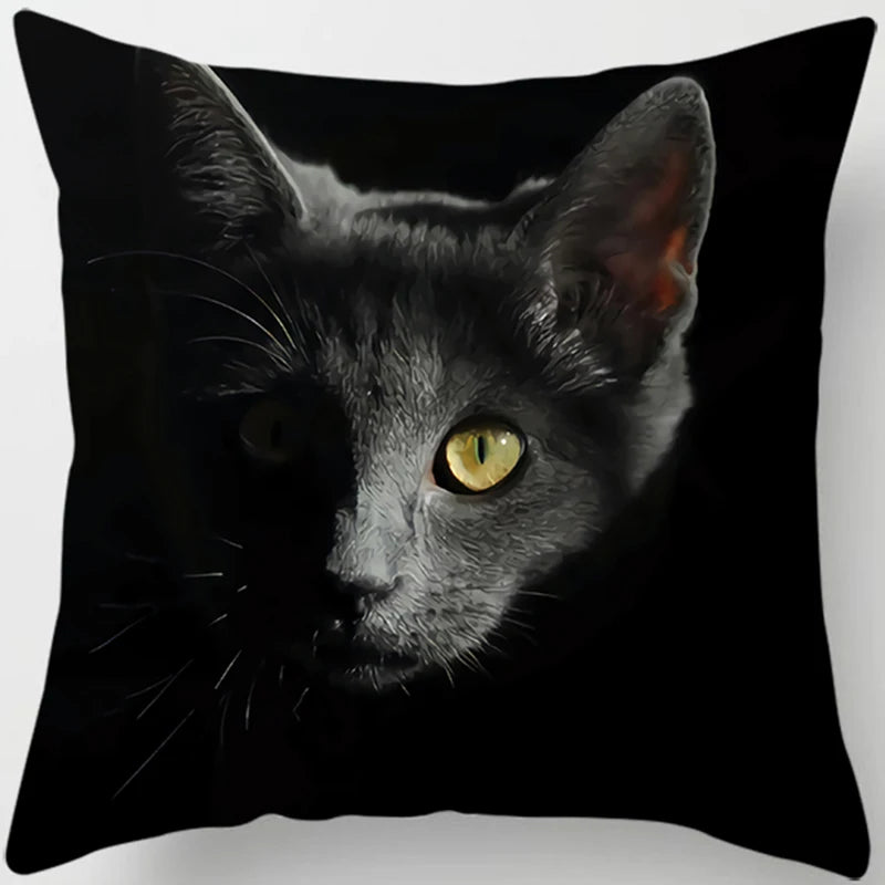 Oreiller chat noir