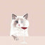Art abstrait de chat Poster