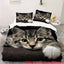 Bettbezug mit weißer Katze