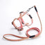 Gradient Cat Harness and Leash Set, Lightweight Strap Harness in 4 Colors
