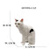 Realistic Ragdoll Cat Figurine and Chubby Cat Model, PVC