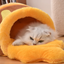 Honey Jar Cat Bed, Semi-Enclosed Cave with Soft Mat