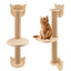 Wall-Mounted Cat Shelves and Climbing Set, Solid Wood Pieces to Mix and Match
