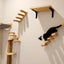 Wall-Mounted Cat Climbing Shelf Set with Bridge and Hammock