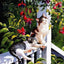 Katzen Wandkunst