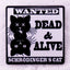 Schrodinger’s Cat Enamel Pin, Funny Physics Cat Badge