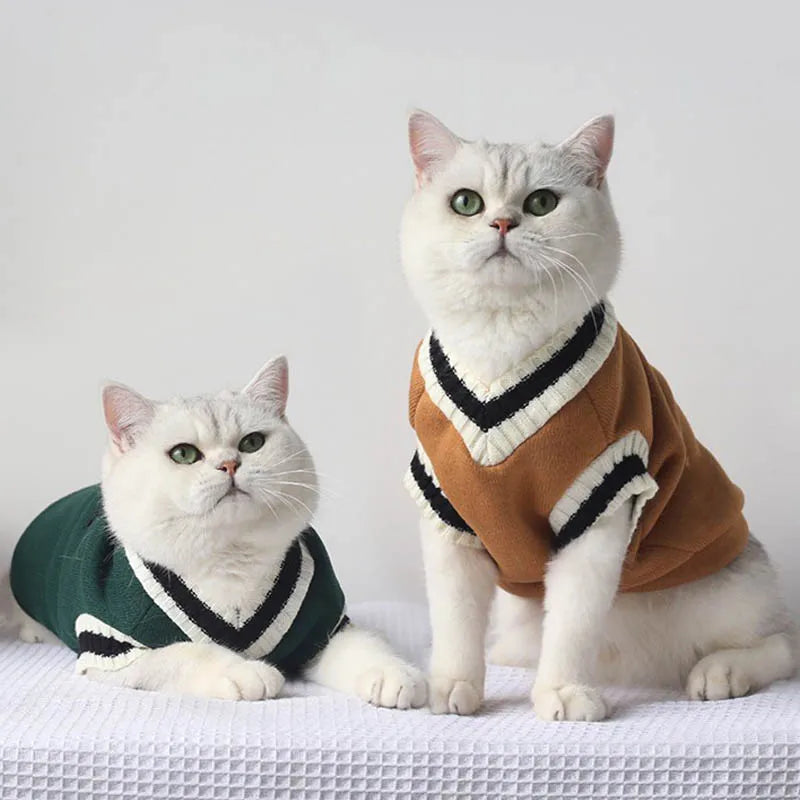 Knit Cat Sweater With Cute Animal Pattern, Cozy Cotton Pullover for Winter