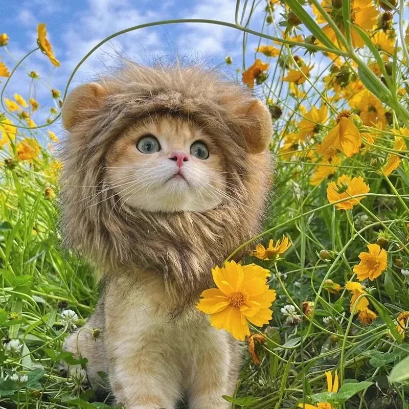 King of the House Cat Lion Mane, Funny Gift for Cat Dads