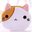 Orange Tabby Cat Face Coin Purse, Soft Plush Zipper Pouch, 4.9 Inches