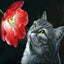 Katzen Wandkunst