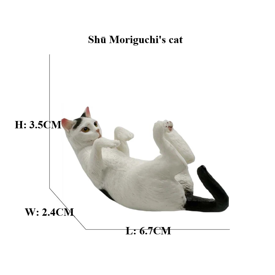 Realistic Ragdoll Cat Figurine and Chubby Cat Model, PVC