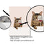 Art abstrait de chat Poster
