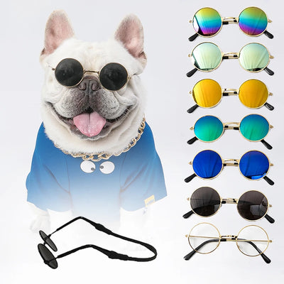 Cat Sunglasses Vintage Round Glasses for Pet Photos and Costumes
