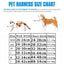 Step-In Cat Harness and Leash Set, Breathable Mesh Vest With Reflective Edges