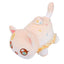 Pumpkin Cat plus